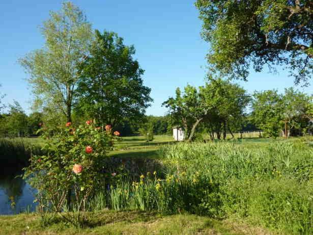 Maison Dans Belle Longere - La Serrerie Le Controis-en-Sologne Extérieur photo